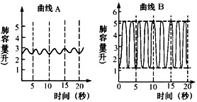 蘇炳添-9秒83-亞洲飛人-田徑-百米賽跑-奧運-2020奧運-東京奧運-呼吸肌-呼吸訓練-腹式呼吸-呼吸頻率-吹氣球-呼吸訓練器-呼吸峰流速儀-亞洲最快