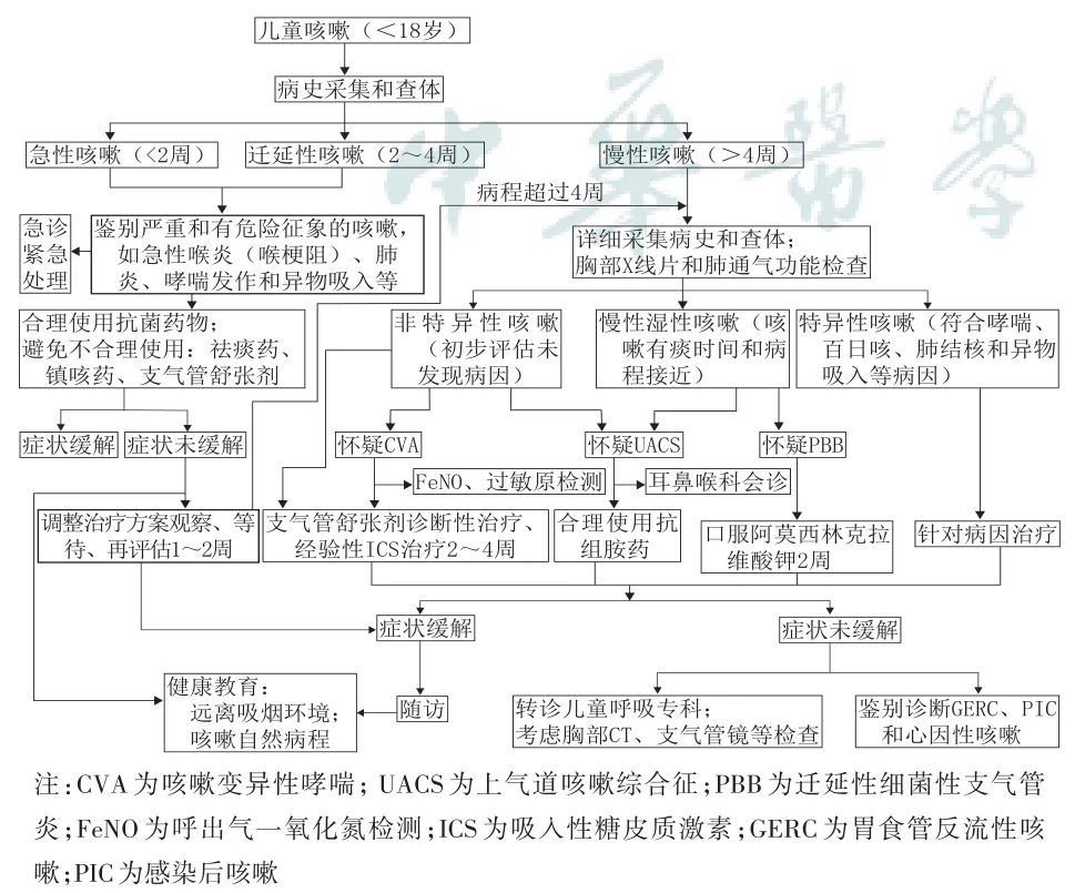 咳嗽-診療-指南-兒童-共識-肺通氣功能-檢查-咳嗽變異性哮喘-哮喘-支氣管擴張-上氣道咳嗽綜合征-吸入性糖皮質(zhì)激素